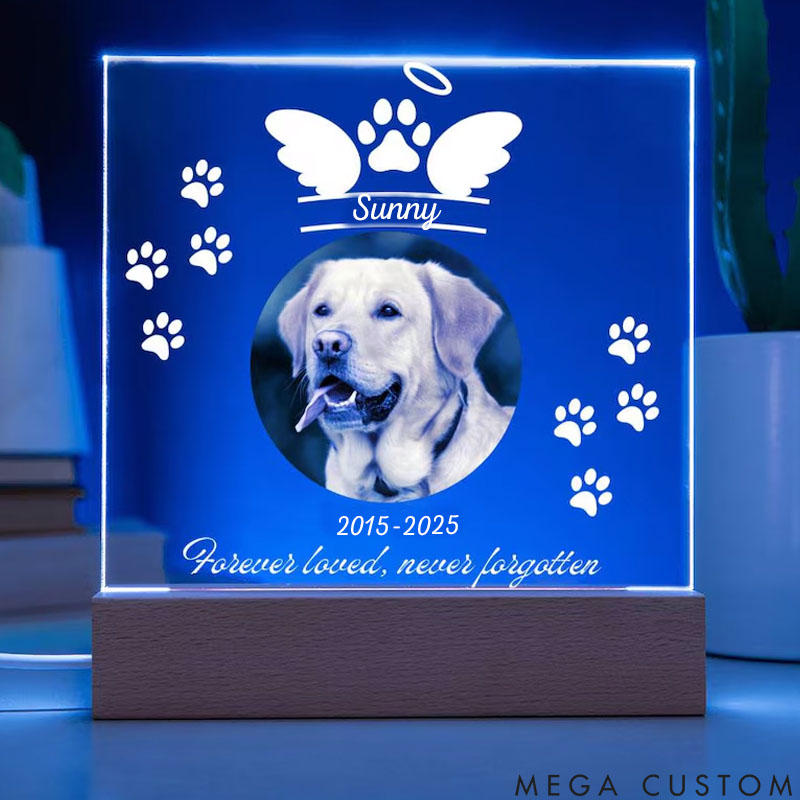 Personalized Pet Lover See You Again at Rainbow Bridge Pet Light