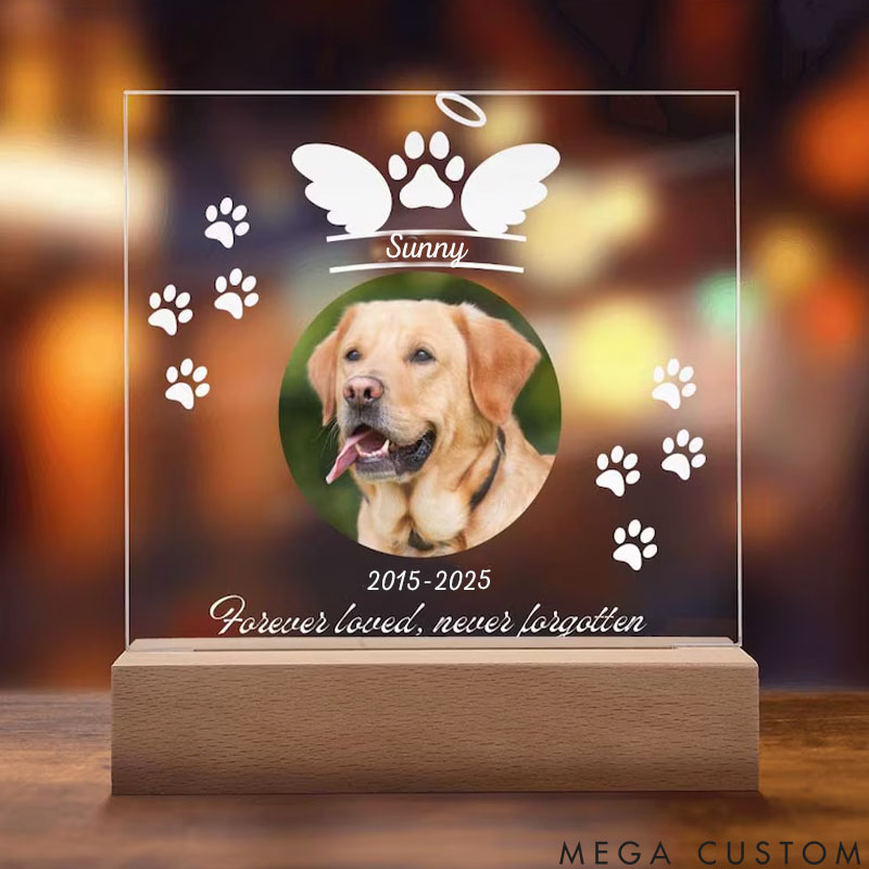 Personalized Pet Lover See You Again at Rainbow Bridge Pet Light
