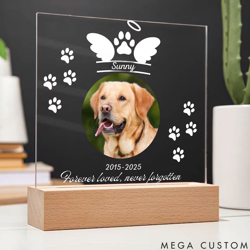 Personalized Pet Lover See You Again at Rainbow Bridge Pet Light