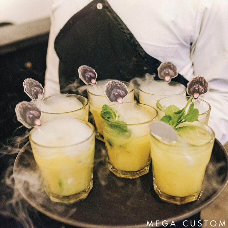 Personalized Pet Lover Watercolor Acrylic Cocktail Stir Sticks