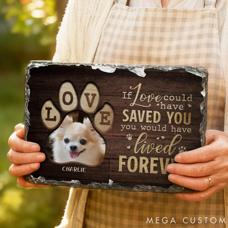 Personalized Pet Lover Wear Resistant Pet Memorial Photo Garden Stone with Name and Title Courtyard Decor 