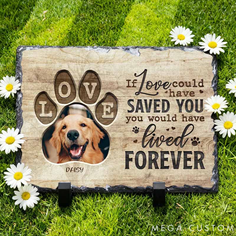Personalized Pet Lover Wear Resistant Pet Memorial Photo Garden Stone with Name and Title Courtyard Decor 