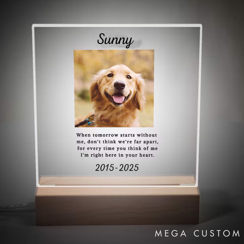 Personalized Pet Lover When Tomorrow Starts without Pet Light