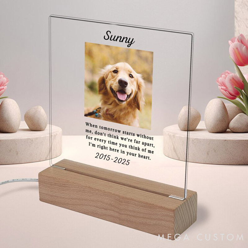 Personalized Pet Lover When Tomorrow Starts without Pet Light