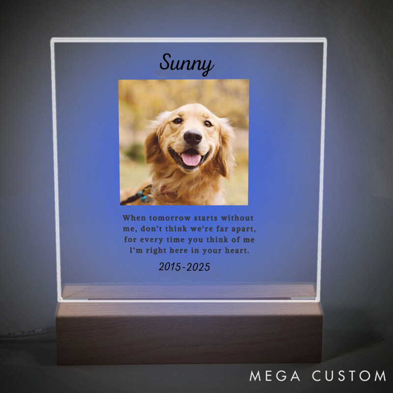 Personalized Pet Lover When Tomorrow Starts without Pet Light