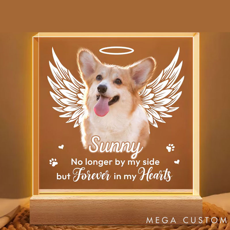 Personalized Pet Lover Wings of Love Pet Light