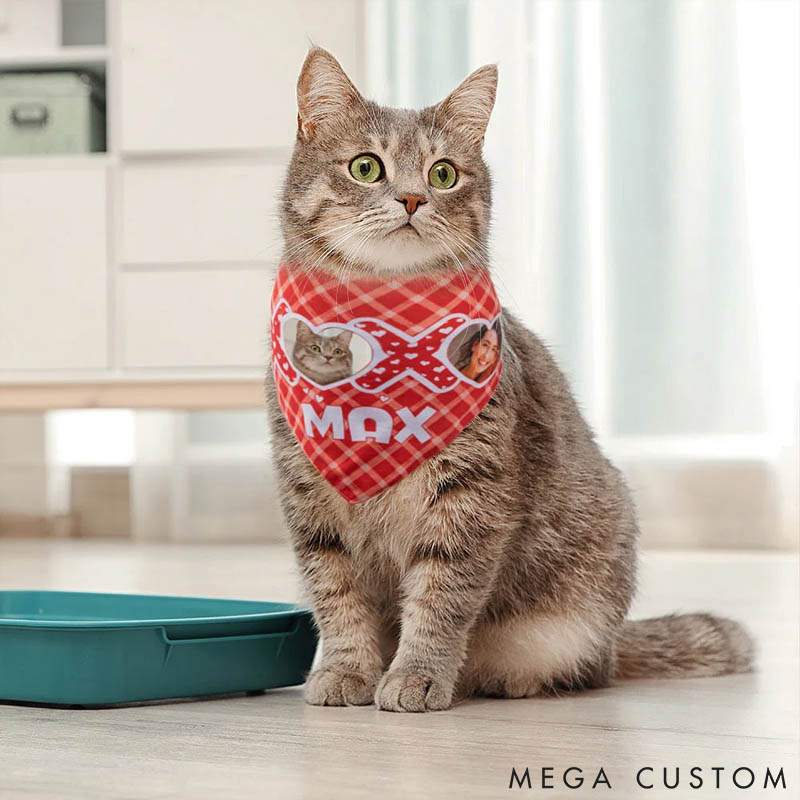 Personalized Pet Lover XOXO My Valentine Photo Name Dog Cat Plaid Bandana Matching Adult T-shirt