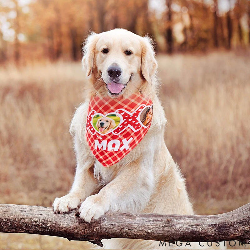 Personalized Pet Lover XOXO My Valentine Photo Name Dog Cat Plaid Bandana Matching Adult T-shirt
