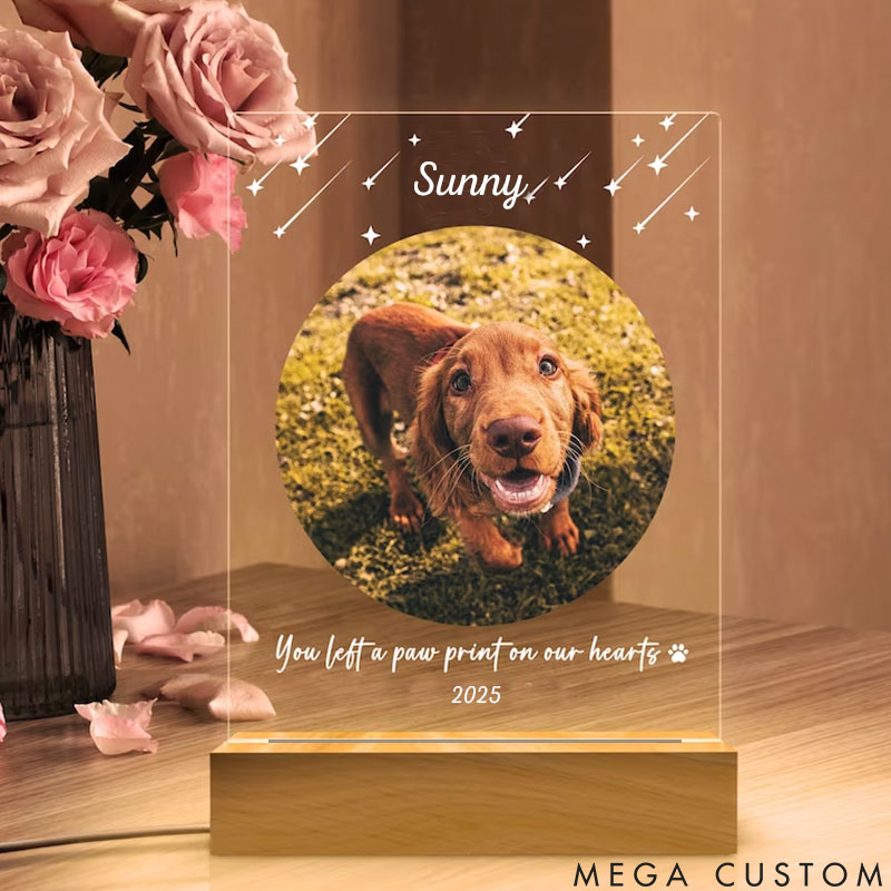 Personalized Pet Lover You Left a Paw Pet Light