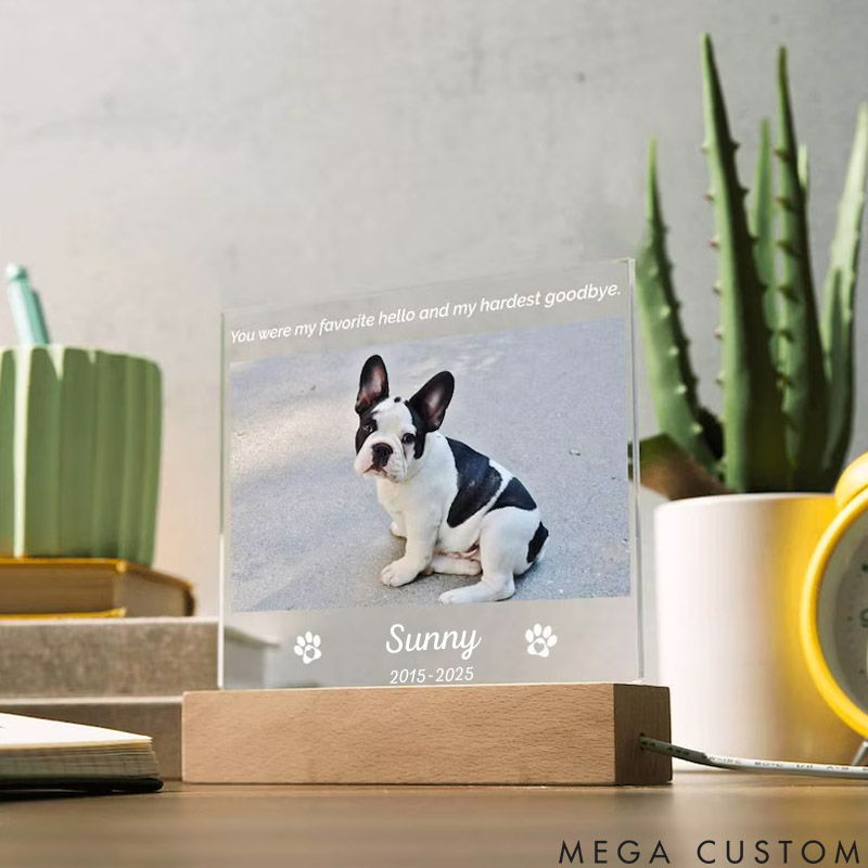 Personalized Pet Lover You Were My Favorite Hello Pet Light