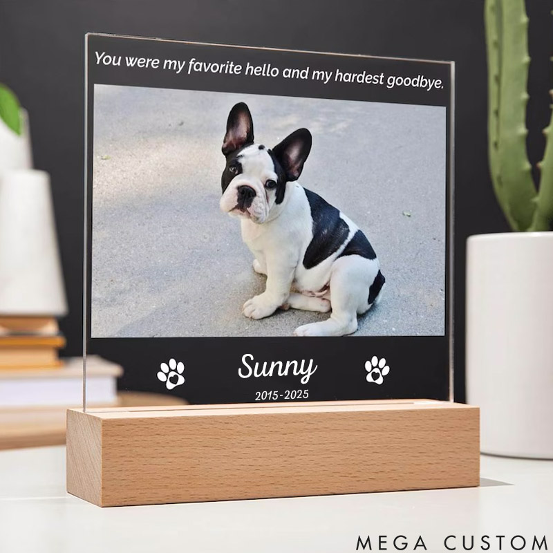Personalized Pet Lover You Were My Favorite Hello Pet Light