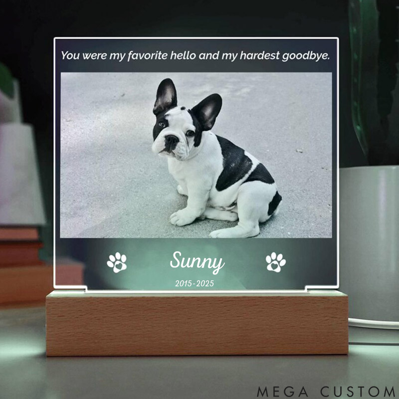 Personalized Pet Lover You Were My Favorite Hello Pet Light