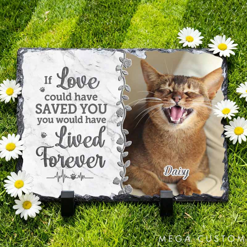 Personalized Pet Lover You Were My Favorite Hello Pet Memorial Photo Garden Stone with Name Courtyard Graveyard Keepsake Gift