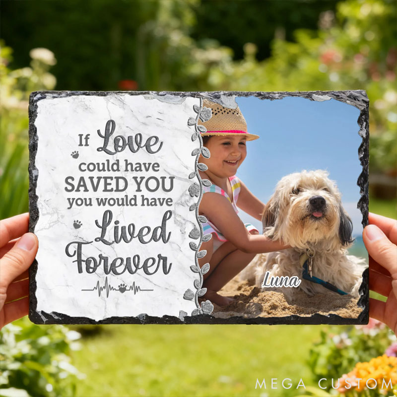 Personalized Pet Lover You Were My Favorite Hello Pet Memorial Photo Garden Stone with Name Courtyard Graveyard Keepsake Gift