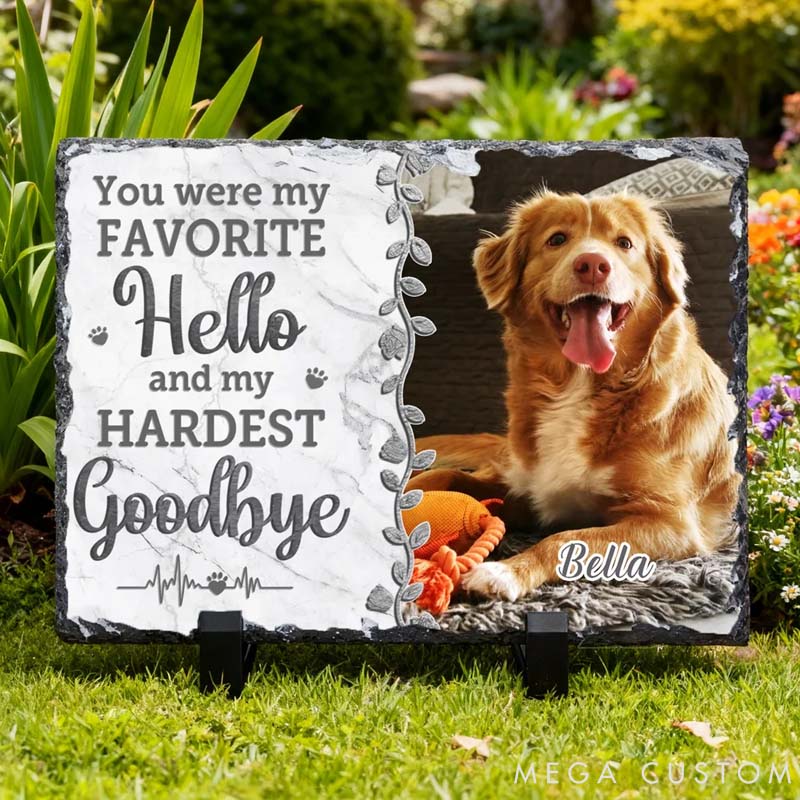 Personalized Pet Lover You Were My Favorite Hello Pet Memorial Photo Garden Stone with Name Courtyard Graveyard Keepsake Gift