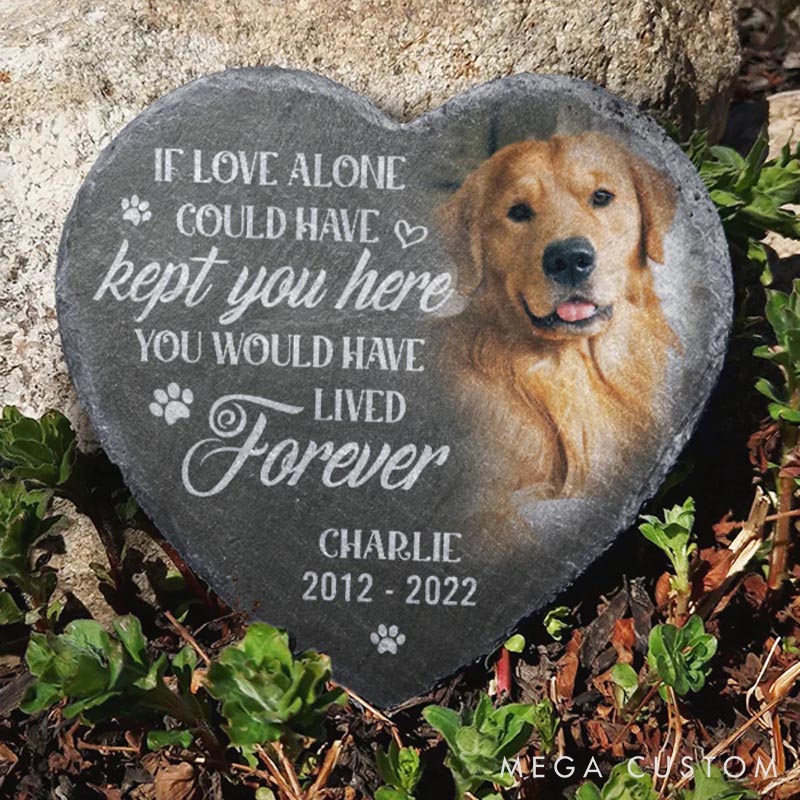 Personalized Pet Lover You Would Have Lived Forever Photo Heart Shaped Memorial Stone