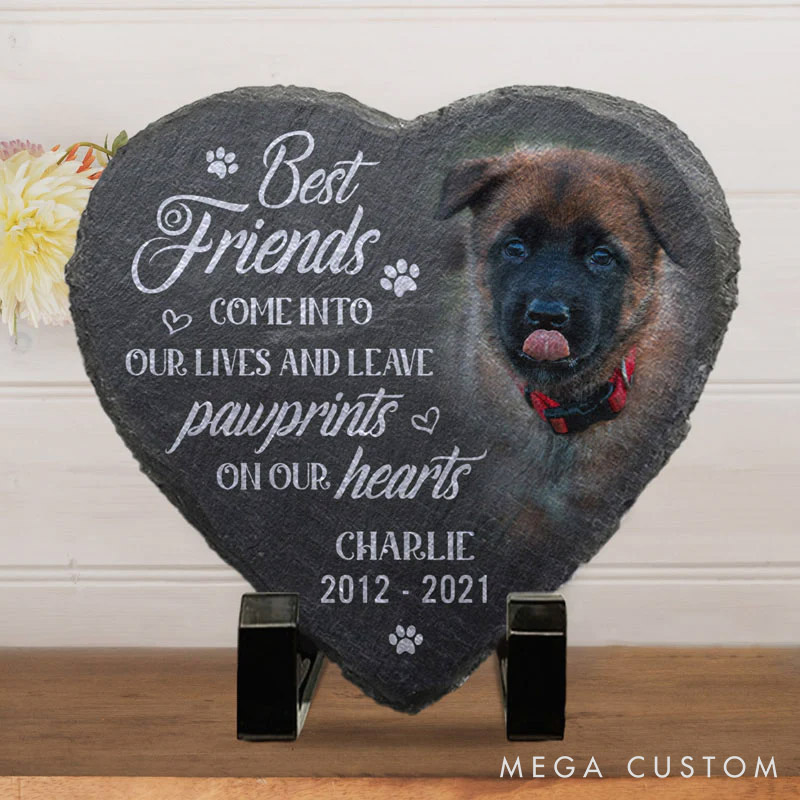 Personalized Pet Lover You Would Have Lived Forever Photo Heart Shaped Memorial Stone