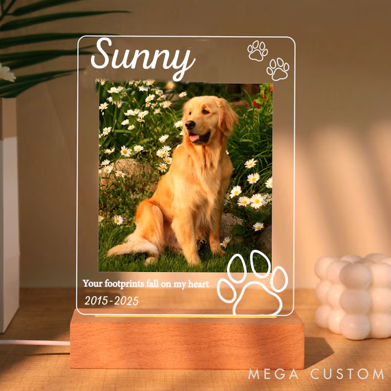 Personalized Pet Lover Your Footprints Fall on My Heart Pet Light