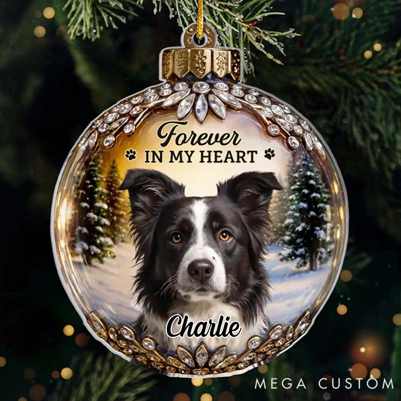 Personalized Pet Lover every Star Carries Your Light Christmas Ornament