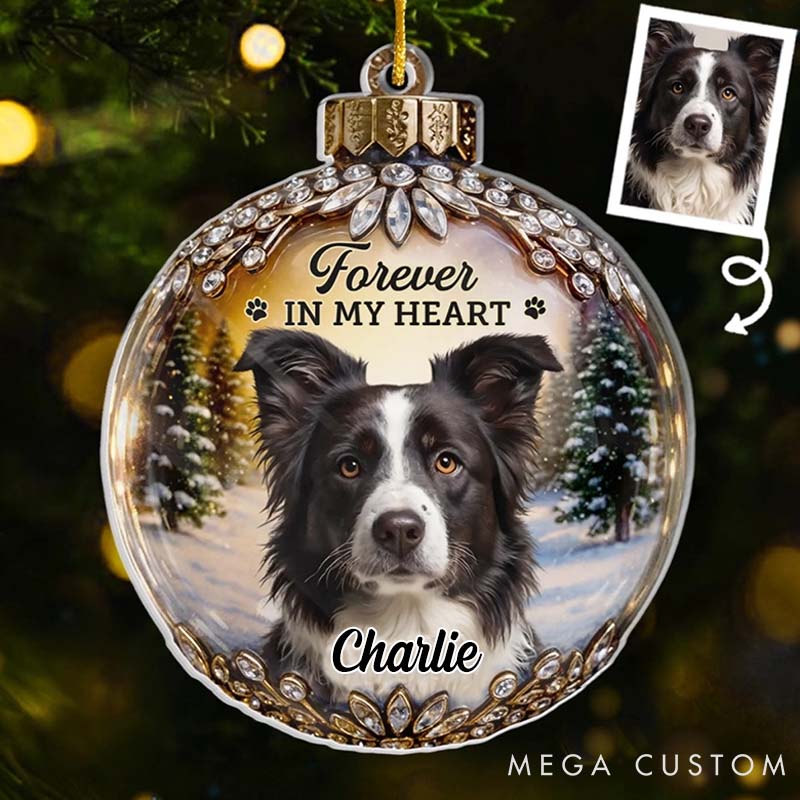 Personalized Pet Lover every Star Carries Your Light Christmas Ornament