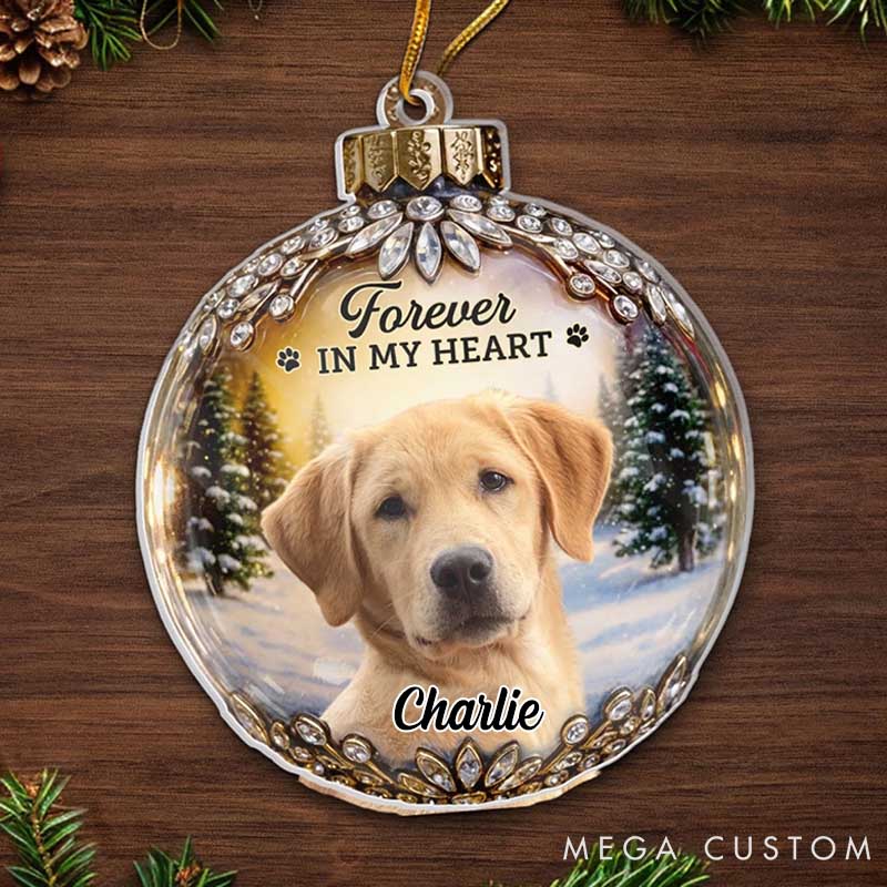 Personalized Pet Lover every Star Carries Your Light Christmas Ornament
