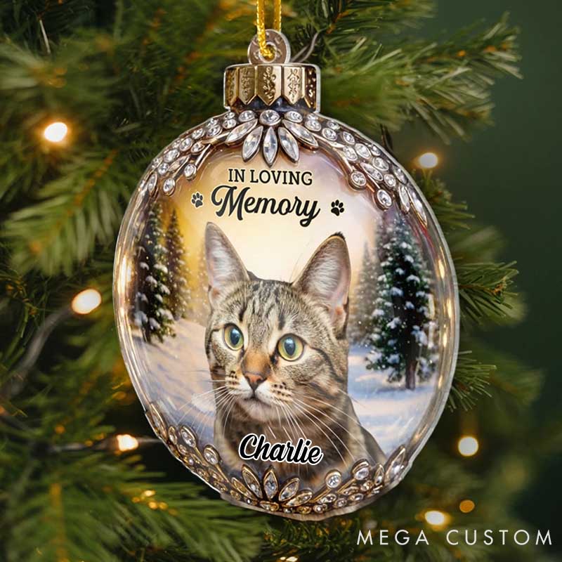Personalized Pet Lover every Star Carries Your Light Christmas Ornament