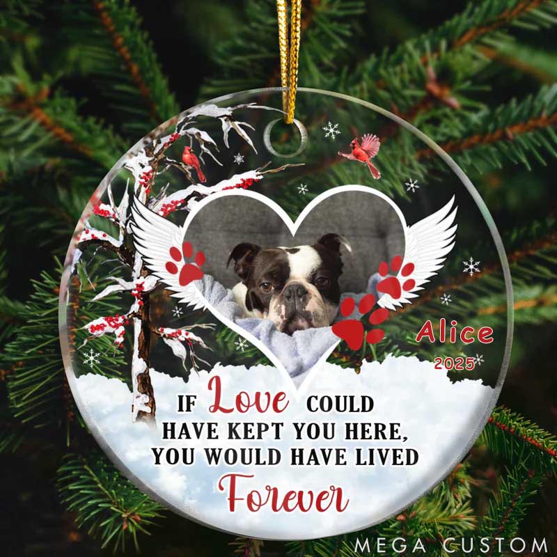 Personalized Pet Lover if Love could have Kept Yous Ornament