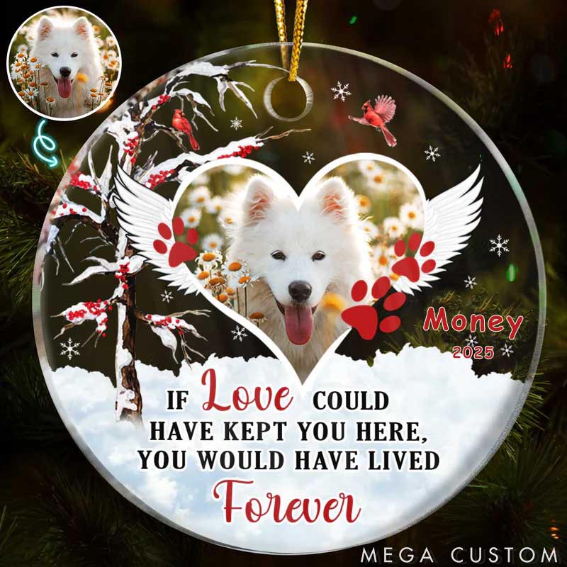 Personalized Pet Lover if Love could have Kept Yous Ornament