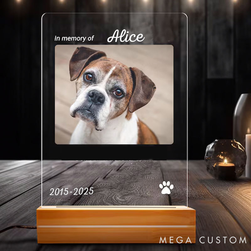 Personalized Pet Lover in Memory of Pet Light