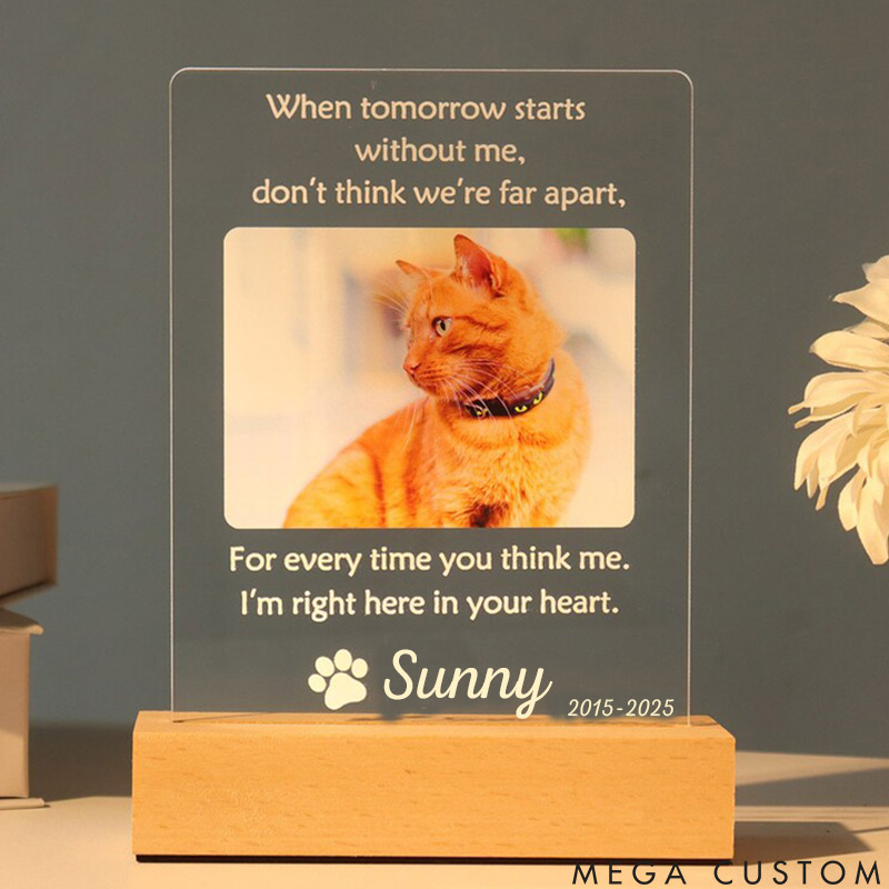 Personalized Pet Lover when Tomorrow Starts without Me Pet Light