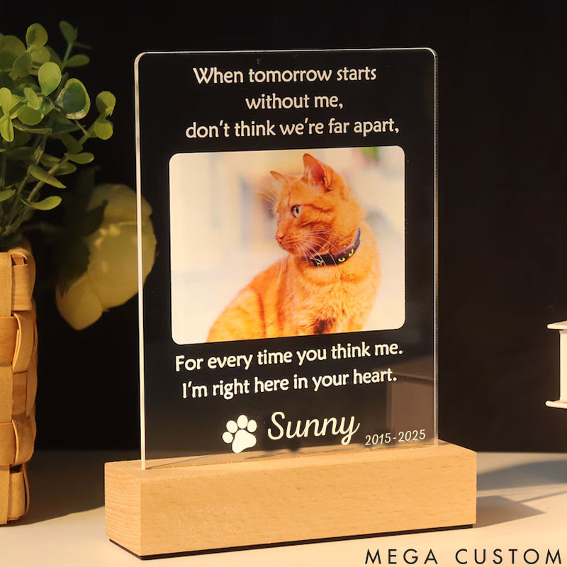 Personalized Pet Lover when Tomorrow Starts without Me Pet Light