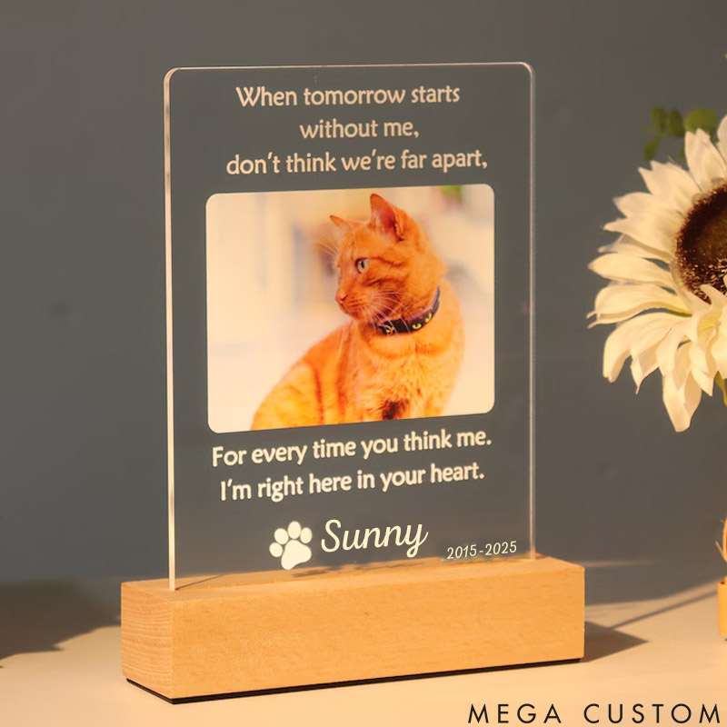 Personalized Pet Lover when Tomorrow Starts without Me Pet Light