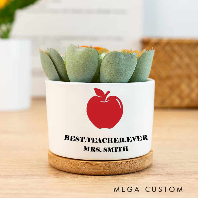 Personalised Teacher Apple Wisdom Icon Ceramic Plant Pot Custom Gift for Teachers