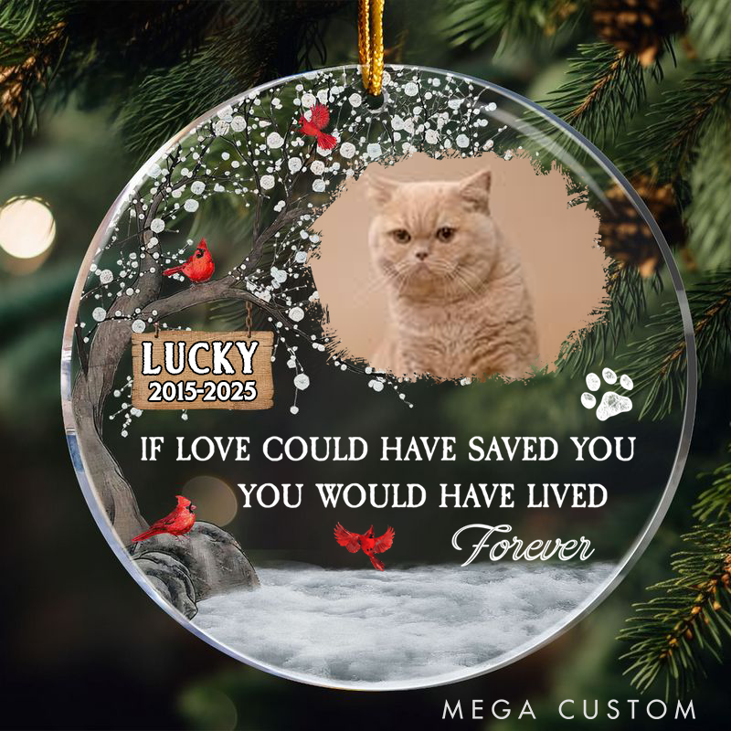 Personalized Pet Lover Pet Loss You were My Favorite Hello Ornament
