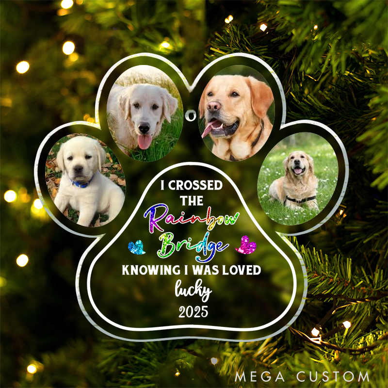 Personalized Pet Lover Crossed the Rainbow Bridge Pet Memorial Ornament