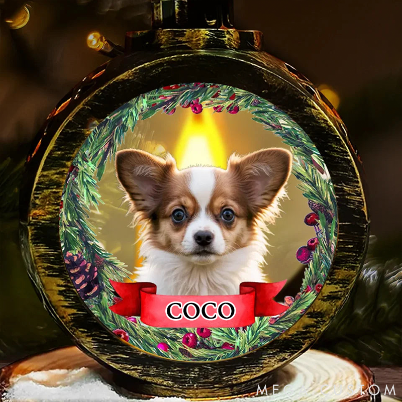 Personalized Pet Lover Your Furry Friend always Lights Up Your Day Christmas Lantern