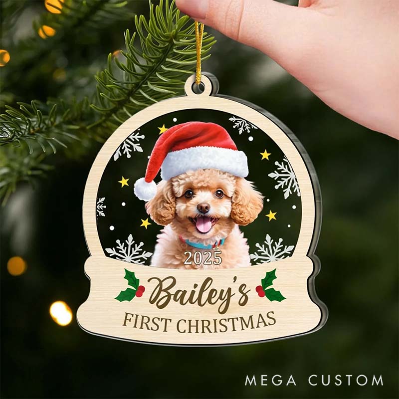 Personalized Pet Lover All You Need is Paws Christmas Ornament 