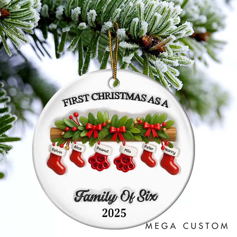 Personalized Pet Lover First Christmas Stockings Family Ornament