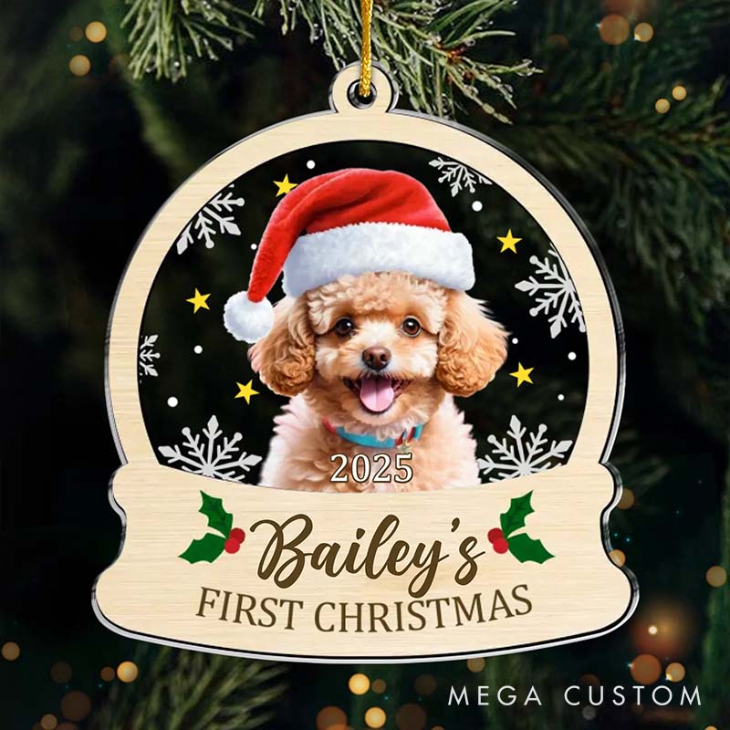 Personalized Pet Lover All You Need is Paws Christmas Ornament 