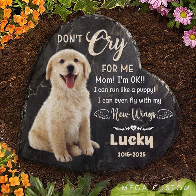 Personalized Pet Lover I can even Fly with My New Wings Garden Stone