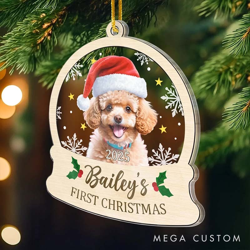 Personalized Pet Lover All You Need is Paws Christmas Ornament 