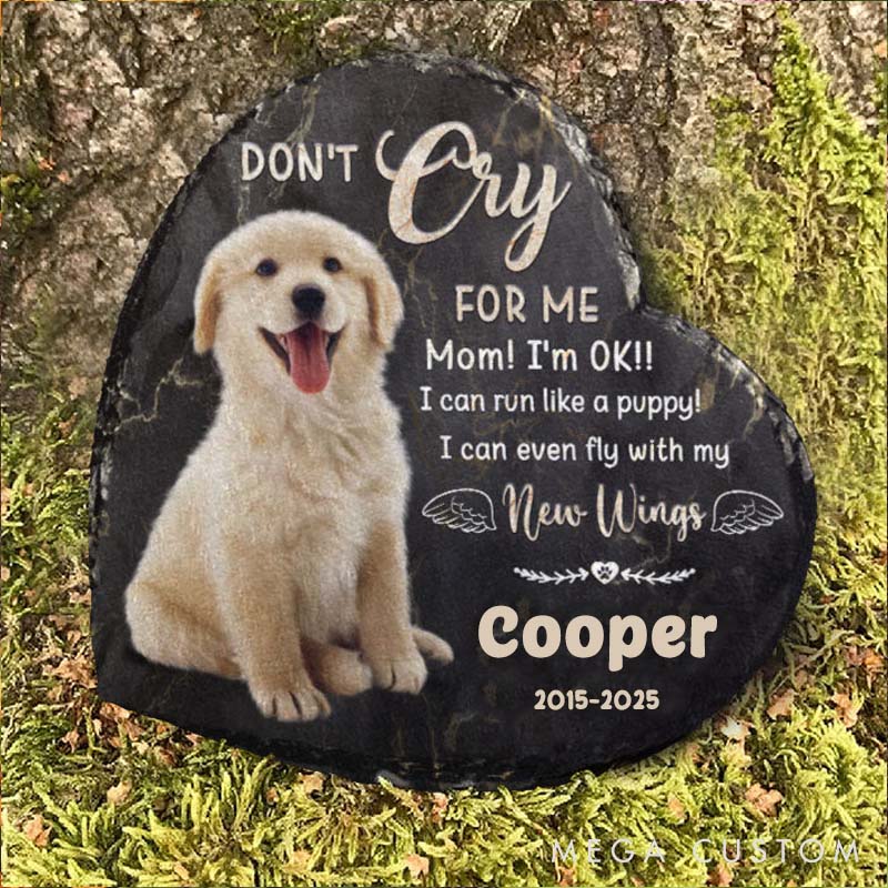 Personalized Pet Lover I can even Fly with My New Wings Garden Stone