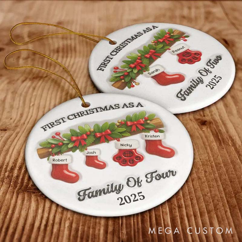 Personalized Pet Lover First Christmas Stockings Family Ornament