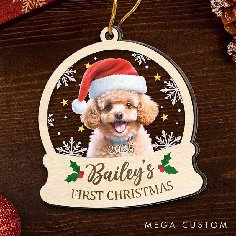 Personalized Pet Lover All You Need is Paws Christmas Ornament 