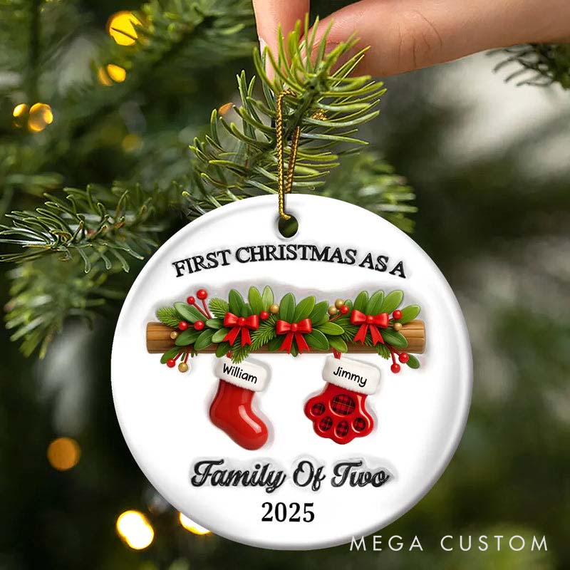 Personalized Pet Lover First Christmas Stockings Family Ornament