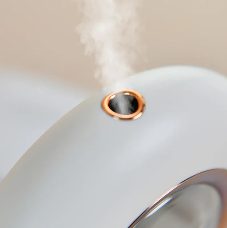 Easy Home Ultrasonic Humidifier Pure Essential Scenting Mini Essential Oil Diffuser for Home Room Office