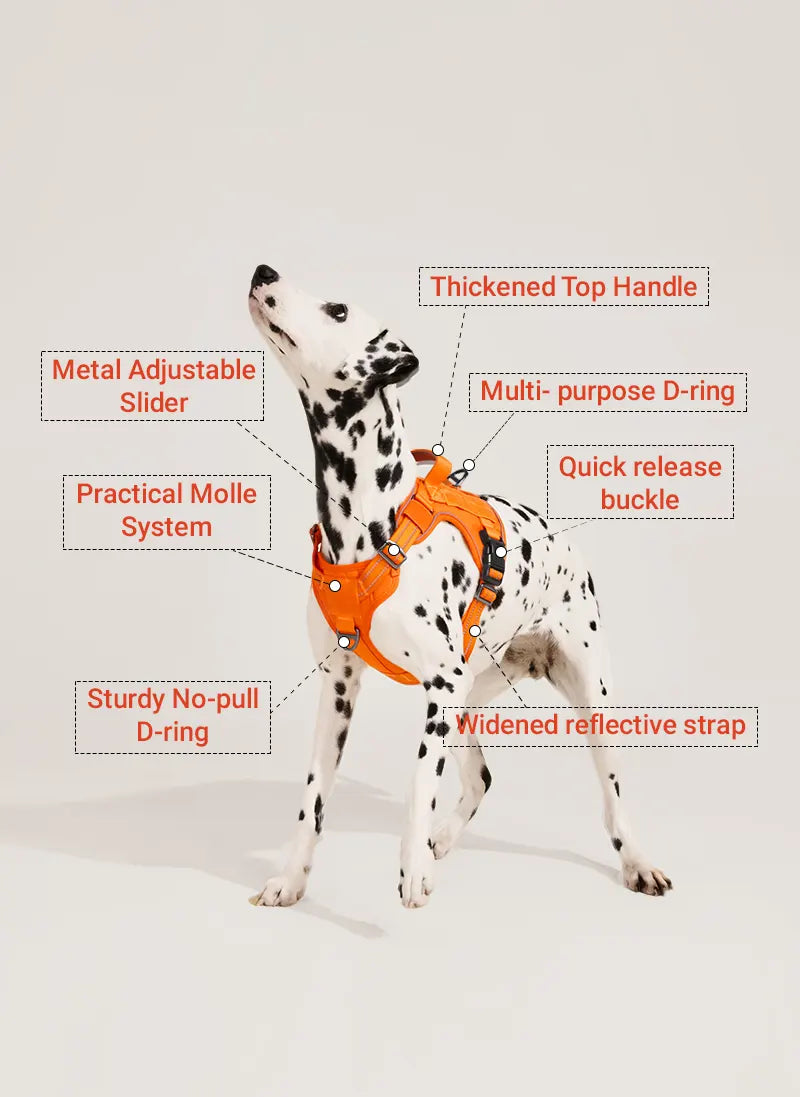 ColorPop Escape Proof Tactical Dog Harness
