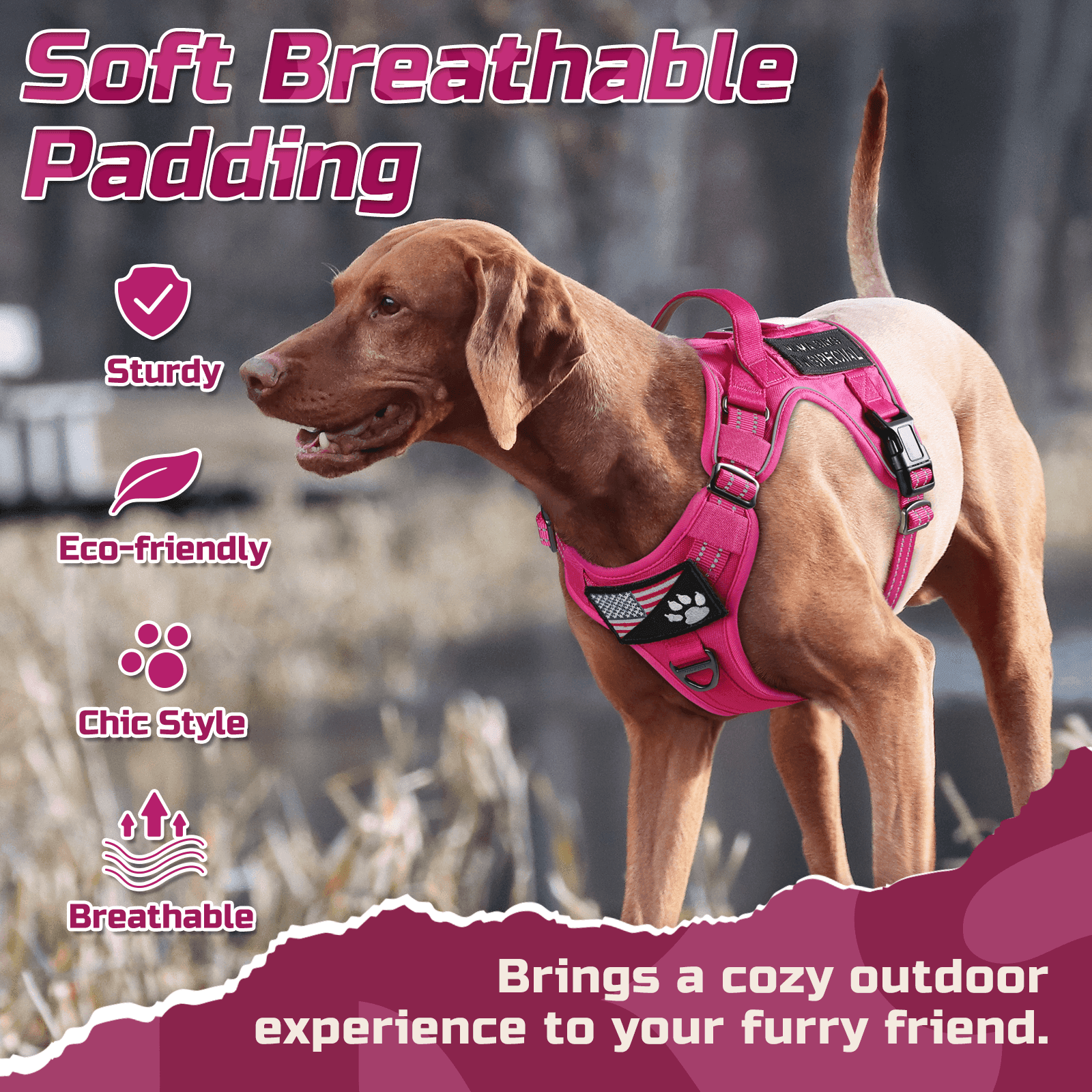 ColorPop Escape Proof Tactical Dog Harness