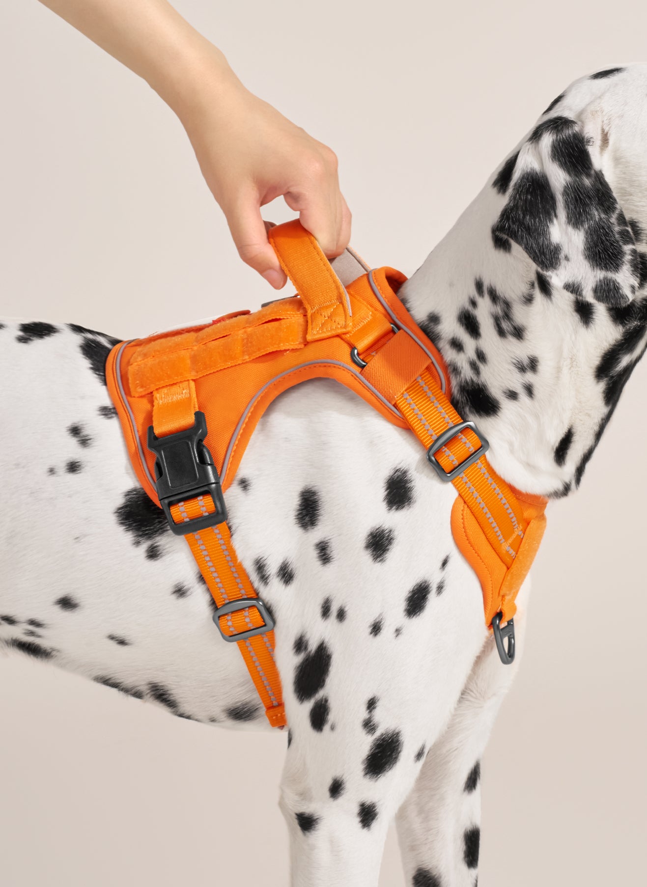ColorPop Escape Proof Tactical Dog Harness