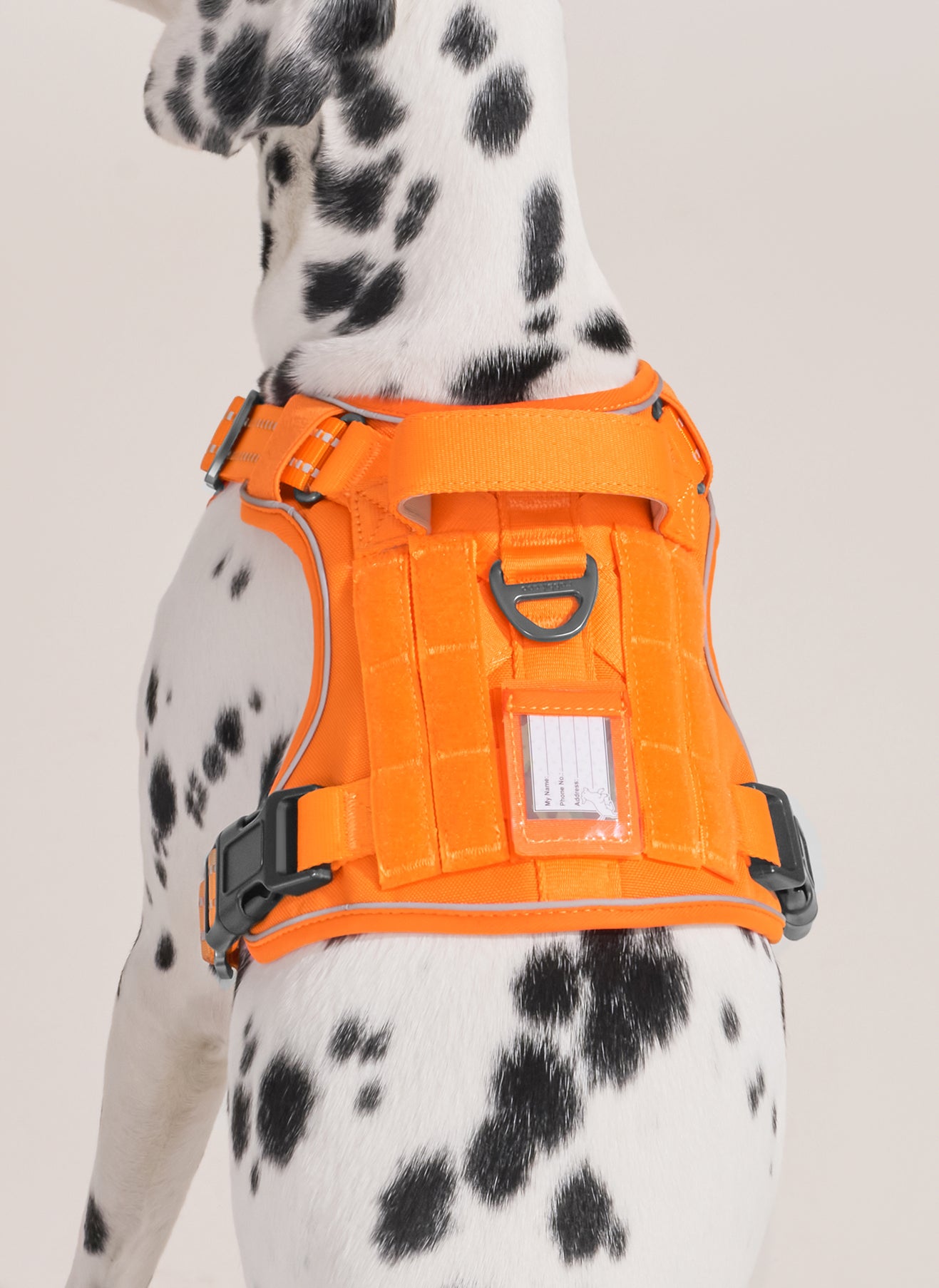 ColorPop Escape Proof Tactical Dog Harness